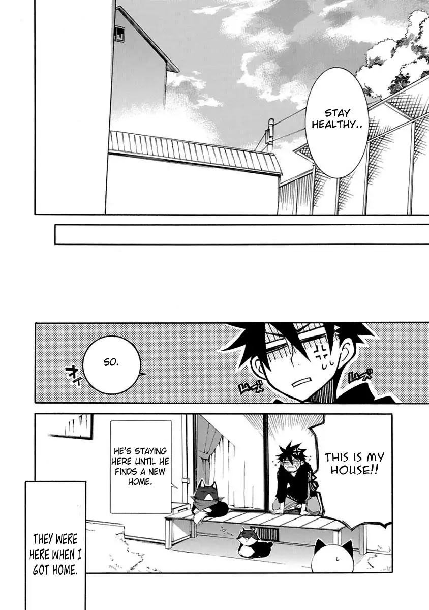 Nyan Koi! Chapter 4 34